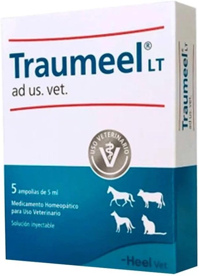 Traumeel Injetável Uso Veterinário - 5 ampolas de 5 ml